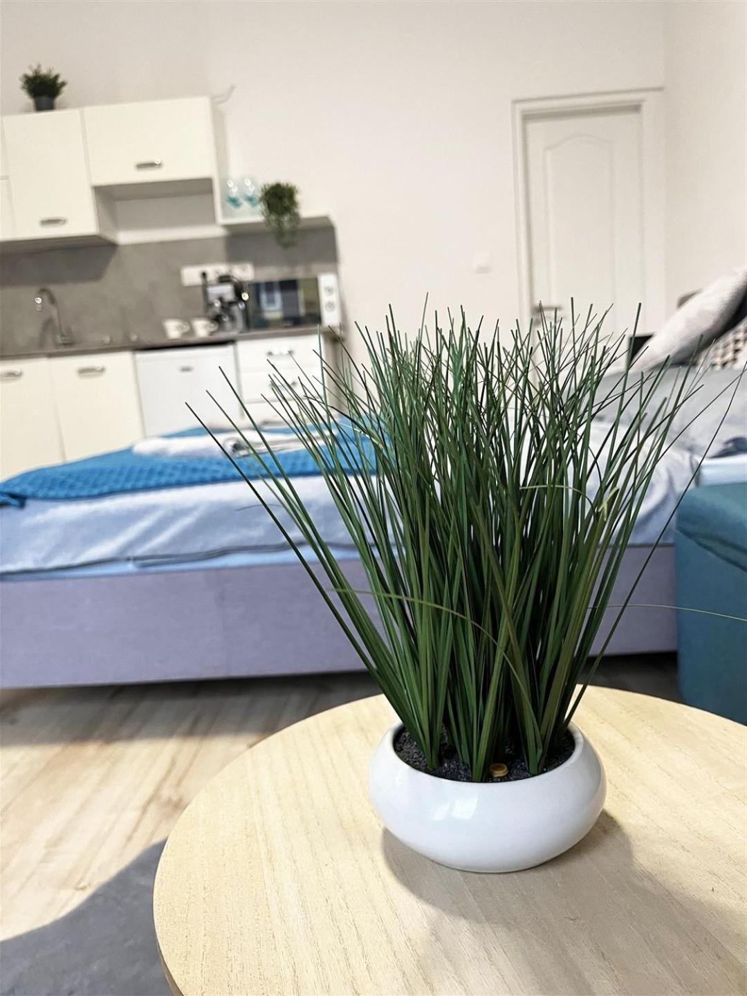 Bereg Szive Apartman Vásárosnamény Εξωτερικό φωτογραφία